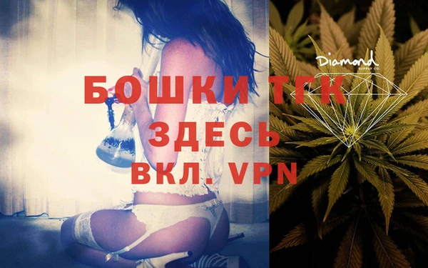 бошки Белокуриха