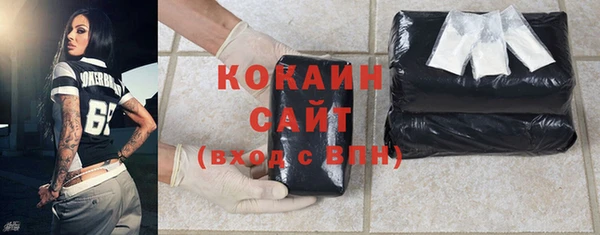 бошки Белокуриха