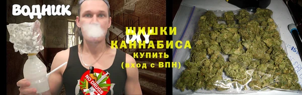 бошки Белокуриха