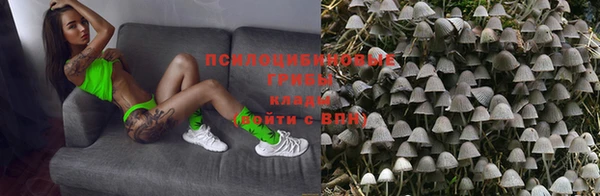 PSILOCYBIN Баксан