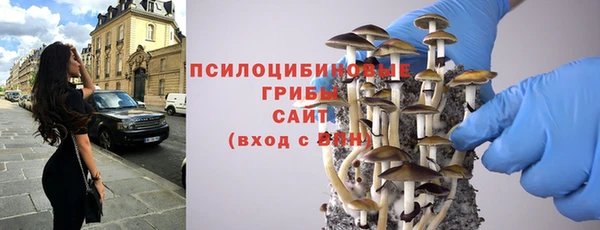 бошки Белокуриха