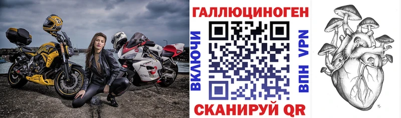 закладка  Белоусово  Псилоцибиновые грибы прущие грибы 